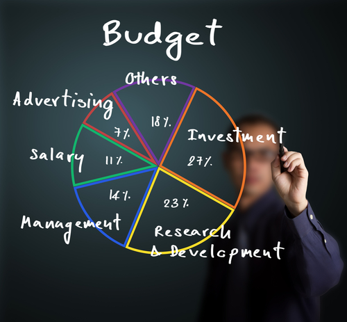 differenza budget e business plan