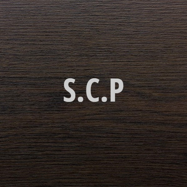 SCP: la Société民事专业人员